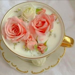 Meet your Posher, Maja